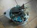 1277330R | REGENERACJA | Alternator Reg. Prestolite 24V 120A 1277330R 880631SBZ